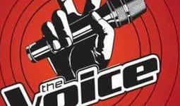 好声音观众席爆料视频,精彩瞬间与幕后故事大揭秘