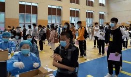 叶晨王者爆料最新消息,最新游戏动态大揭秘！